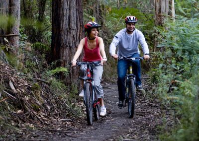 Mountain Biking in The Otways