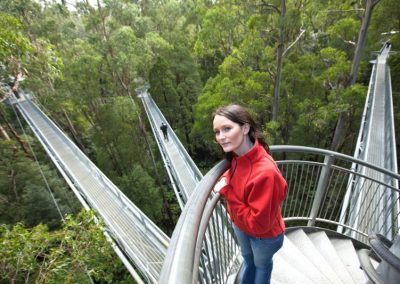 The Otway Fly 3 Staircases