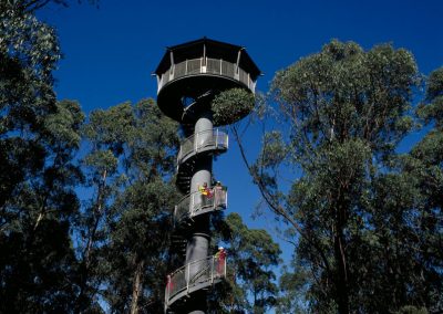 The Otway Fly