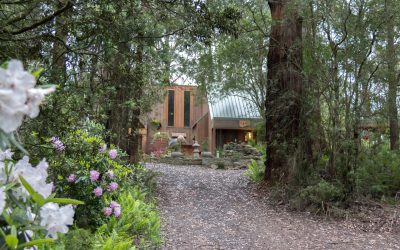 Qii House lifted my spirits the day I visited