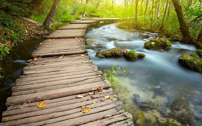 Healing in Nature by Kit-E Kline