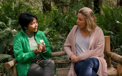Destination Happiness visit and discuss Forest Bathing