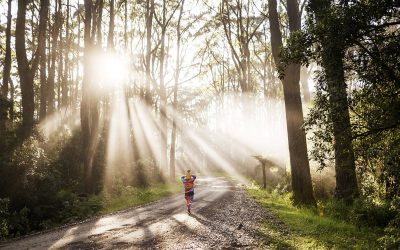 Forest Therapy at Qii House and why the nature connection is even more relevant today