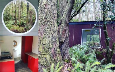 Three new Tiny Houses coming to Qii House soon.