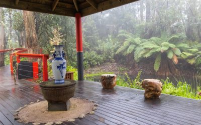 Immersed In Nature – Guest Experiences and Wellbeing at Qii House Eco-Retreat