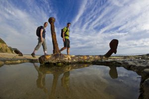Great Ocean Walk