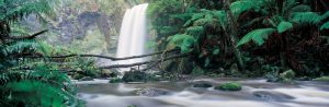 Hopetoun Falls