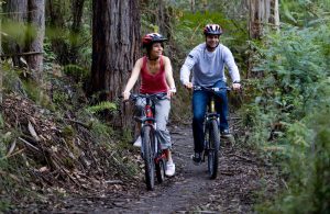 Mountain Biking in The Otways