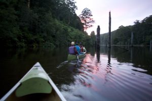 Platapus Spotting Canoe Trip on Lake Elizabeth